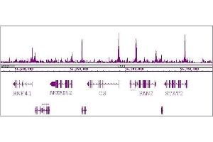 RBBP5 antibody (pAb) tested by ChIP-Seq.