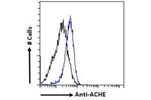 ABIN185357 Flow cytometric analysis of paraformaldehyde fixed HeLa cells (blue line), permeabilized with 0.