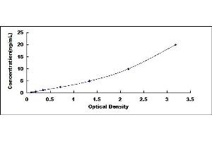 Typical standard curve (CPT2 Kit ELISA)