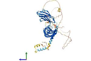 AlphaFold protein structure predicition of Human Recombinant SYT6 Protein, UniprotID Q5T7P8