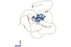 AlphaFold protein structure predicition of Human Recombinant TBX4 Protein, UniprotID P57082