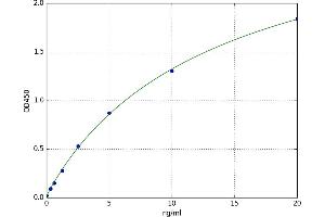 A typical standard curve