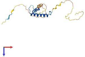AlphaFold protein structure predicition of Mouse Recombinant Id4 Protein, UniprotID P41139