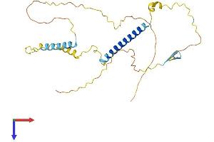 AlphaFold protein structure predicition of Human Recombinant TAF1D Protein, UniprotID Q9H5J8