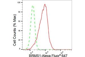 Flow cytometric analysis of BRMS1 expression in HepG2 cells using BRMS1 antibody (ABIN7797793), 1:2,000).