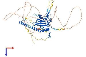 AlphaFold protein structure predicition of Mouse Recombinant Nap1l3 Protein, UniprotID Q794H2