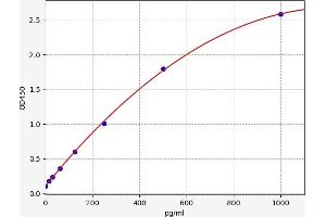 Bone Morphogenetic Protein 7 (BMP7) ELISA Kit
