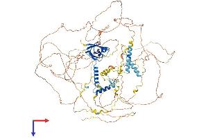 AlphaFold protein structure predicition of Mouse Recombinant Synpo2 Protein, UniprotID Q91YE8
