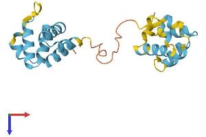 AlphaFold protein structure predicition of Mouse Recombinant Pycard Protein, UniprotID Q9EPB4