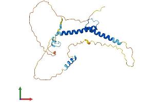 AlphaFold protein structure predicition of Human Recombinant MYF5 Protein, UniprotID P13349