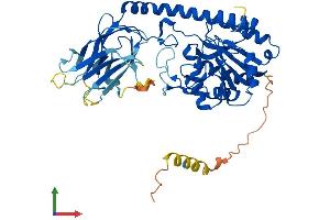 AlphaFold protein structure predicition of Human Recombinant B3GALNT2 Protein, UniprotID Q8NCR0