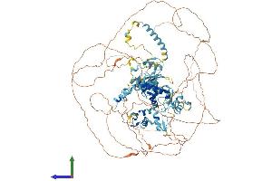 AlphaFold protein structure predicition of Mouse Recombinant Adnp Protein, UniprotID Q9Z103