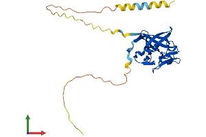 AlphaFold protein structure predicition of Human Recombinant FGF13 Protein, UniprotID Q92913
