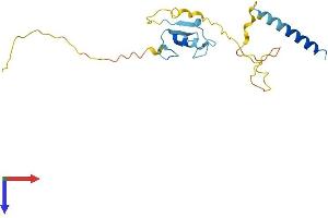 AlphaFold protein structure predicition of Human Recombinant RNF185 Protein, UniprotID Q96GF1