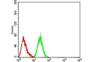 Flow cytometric analysis of Hela cells using DDX5 mouse mAb (green) and negative control (red).