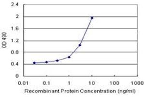 Sandwich ELISA detection sensitivity ranging from 0. (VIL1 (Humain) Matched Antibody Pair)