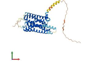 AlphaFold protein structure predicition of Human Recombinant HRH2 Protein, UniprotID P25021