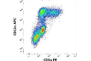 Flow cytometry multicolor surface staining of human stimulated (GM-CSF + IL-4) peripheral blood monocytes stained using anti-human CD1a (HI149) PE antibody (20 μL reagent per milion cells in 100 μL of cell suspension) and anti-human CD11c (BU15) APC antibody (10 μL reagent per milion cells in 100 μL of cell suspension).