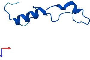 AlphaFold protein structure predicition of Human Recombinant RPL39L Protein, UniprotID Q96EH5