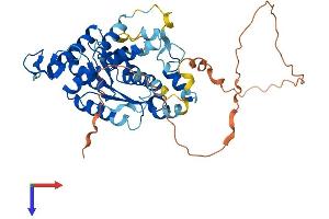 AlphaFold protein structure predicition of Mouse Recombinant Ctu1 Protein, UniprotID Q99J10