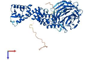 AlphaFold protein structure predicition of Mouse Recombinant Klhl20 Protein, UniprotID Q8VCK5