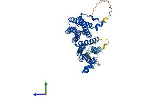 AlphaFold protein structure predicition of Human Recombinant COX15 Protein, UniprotID Q7KZN9