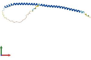 AlphaFold protein structure predicition of Mouse Recombinant Bloc1s6 Protein, UniprotID Q9R0C0