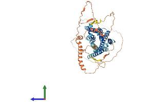 AlphaFold protein structure predicition of Mouse Recombinant Adra1d Protein, UniprotID P97714