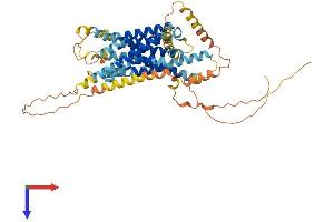 AlphaFold protein structure predicition of Human Recombinant GPR135 Protein, UniprotID Q8IZ08