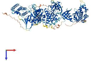 AlphaFold protein structure predicition of Human Recombinant JAK3 Protein, UniprotID P52333