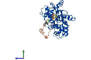 AlphaFold protein structure predicition of Human Recombinant CHST10 Protein, UniprotID O43529