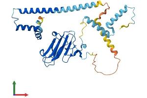 AlphaFold protein structure predicition of Human Recombinant NUDC Protein, UniprotID Q9Y266 (NUDC Protein (AA 1-331) (His tag))