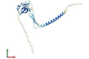 AlphaFold protein structure predicition of Human Recombinant CIDEA Protein, UniprotID O60543