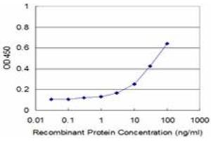 anti-Tetraspanin 1 (TSPAN1) (AA 110-211) antibody