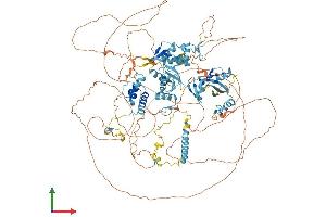 AlphaFold protein structure predicition of Human Recombinant ADNP Protein, UniprotID Q9H2P0