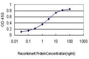 Detection limit for recombinant GST tagged CREBBP is approximately 0. (CBP anticorps  (AA 951-1050))