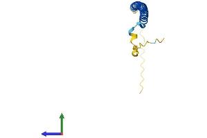 AlphaFold protein structure predicition of Human Recombinant BATF Protein, UniprotID Q16520