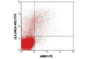 Flow Cytometry (FACS) image for anti-Chemokine (C-C Motif) Receptor 10 (CCR10) antibody (PE) (ABIN2662918)