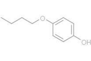 4-Butoxyphenol