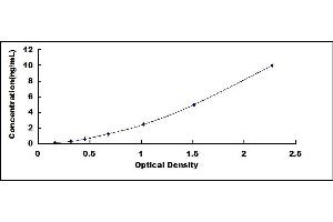 Typical standard curve (ARG2 Kit ELISA)