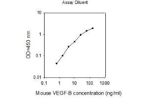 ELISA image for Vascular Endothelial Growth Factor B (VEGFB) ELISA Kit (ABIN2748744) (VEGFB Kit ELISA)