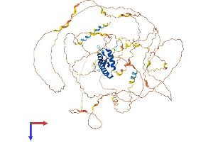 AlphaFold protein structure predicition of Human Recombinant SOX30 Protein, UniprotID O94993