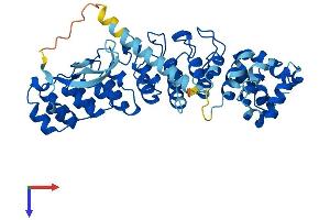 AlphaFold protein structure predicition of Human Recombinant ASB16 Protein, UniprotID Q96NS5