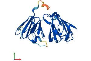 AlphaFold protein structure predicition of Mouse Recombinant Cryba2 Protein, UniprotID Q9JJV1