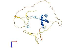 AlphaFold protein structure predicition of Human Recombinant NKX1-2 Protein, UniprotID Q9UD57