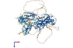 AlphaFold protein structure predicition of Human Recombinant SOS2 Protein, UniprotID Q07890