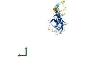 AlphaFold protein structure predicition of Human Recombinant TNFSF10 Protein, UniprotID P50591