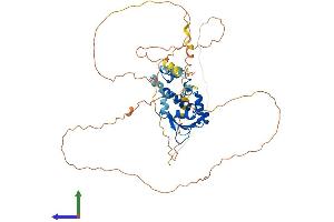 AlphaFold protein structure predicition of Mouse Recombinant Erg Protein, UniprotID P81270