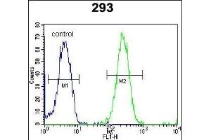 ZNF780A Antibody (N-term) (ABIN654493 and ABIN2844225) flow cytometric analysis of 293 cells (right histogram) compared to a negative control cell (left histogram). (ZNF780A anticorps  (N-Term))