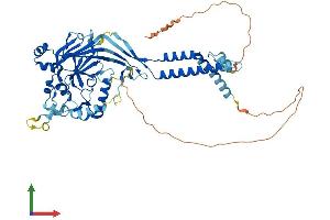 AlphaFold protein structure predicition of Mouse Recombinant Asic4 Protein, UniprotID Q7TNS7